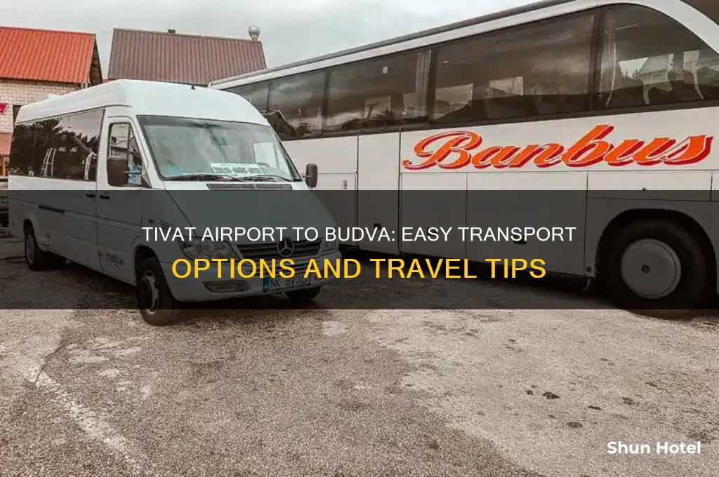 how to get from tivat airport to budva