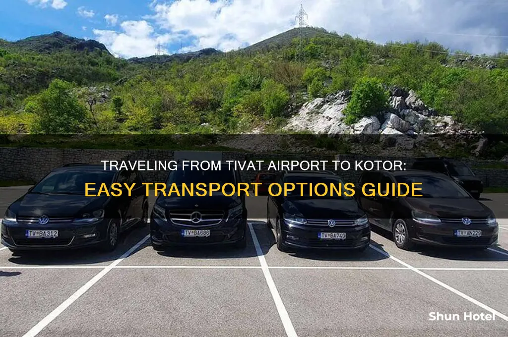 how to get from tivat airport to kotor