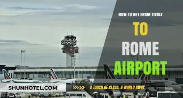 Traveling from Tivoli to Rome Airport: Easy Transport Options