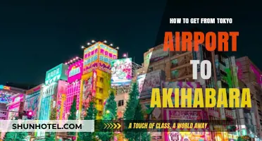 Tokyo Airport to Akihabara: Easy Transport Guide for Travelers