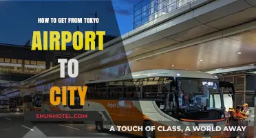 Tokyo Airport to City: Easy Transport Options and Tips