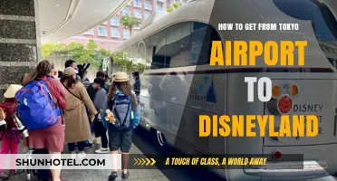 Tokyo Airport to Disneyland: Easy Transportation Guide for Visitors