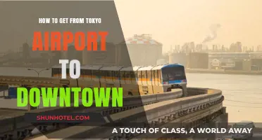 Efficient Tokyo Airport to Downtown Travel Guide: Best Routes & Tips