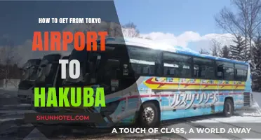 Traveling from Tokyo Airport to Hakuba: Easy Transport Options