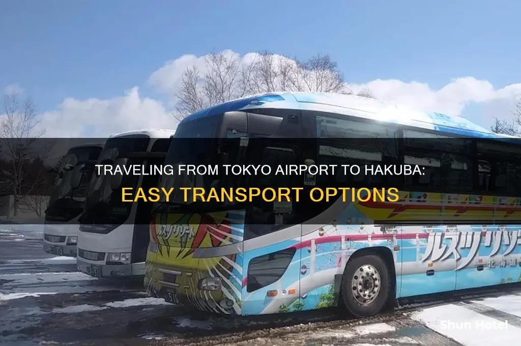 how to get from tokyo airport to hakuba
