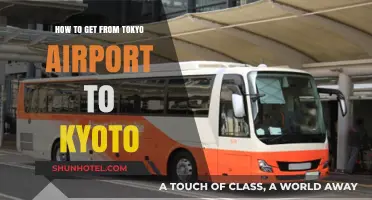 Tokyo Airport to Kyoto: Easy Travel Guide & Transport Options