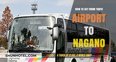 Traveling from Tokyo Airport to Nagano: Easy Transport Options