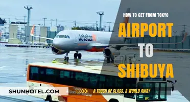 Tokyo Airport to Shibuya: Quick, Easy Transport Guide