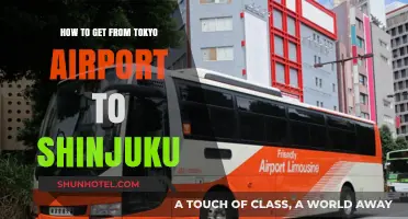 Tokyo Airport to Shinjuku: Easy Transport Options and Tips