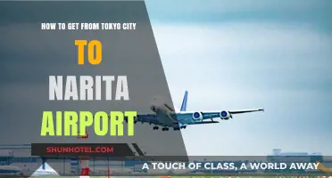 Efficient Travel: Tokyo City to Narita Airport Guide