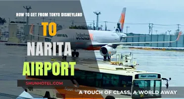 Traveling from Tokyo Disneyland to Narita Airport: A Quick Guide