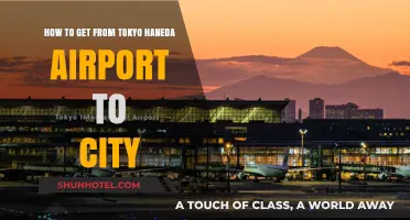 Efficient Travel: Haneda Airport to Tokyo City Guide