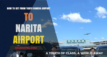 Efficient Travel Guide: Tokyo Haneda to Narita Airport Transfer Tips