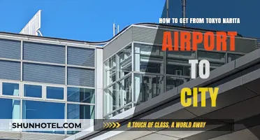 Easiest Ways to Travel from Tokyo Narita Airport to the City