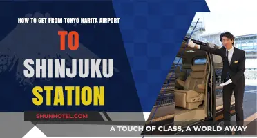 Travel Guide: Tokyo Narita Airport to Shinjuku Station Made Easy