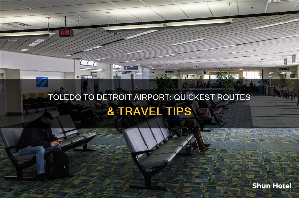 how to get from toledo to detroit airport