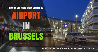 Brussels Transit Guide: Train Station to Airport Transfer Made Easy