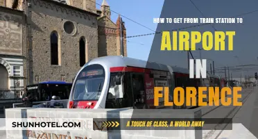 Florence Travel Guide: Train Station to Airport Transfer Tips