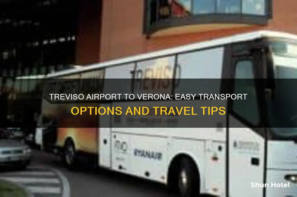 how to get from treviso airport to verona