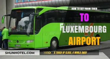 Traveling from Trier to Luxembourg Airport: Easy Transport Options