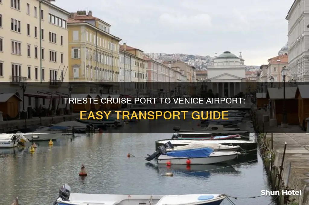 how to get from trieste cruise port to venice airport