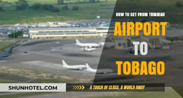 Trinidad Airport to Tobago: Easy Travel Guide & Transport Options