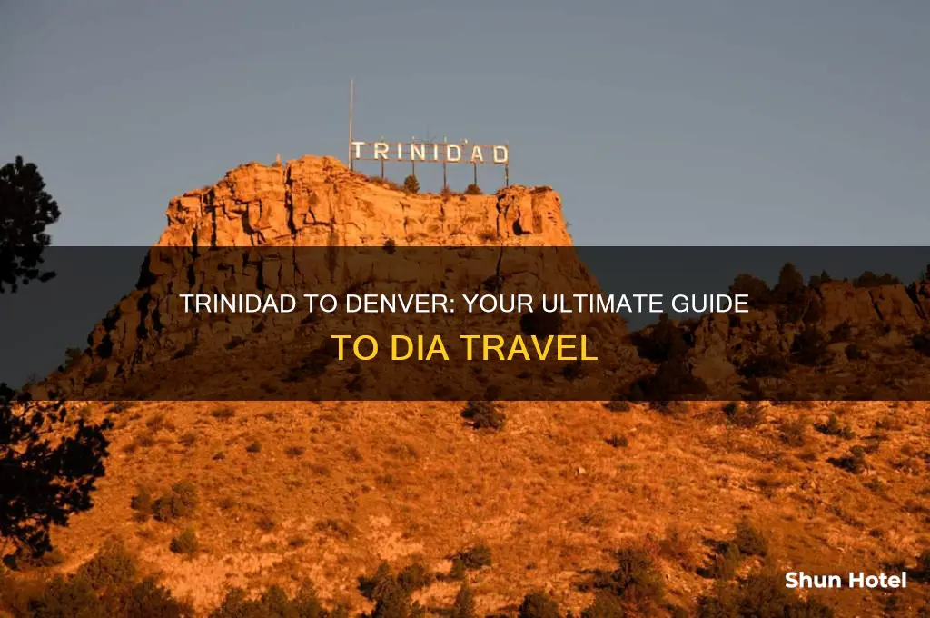 how to get from trinidad colorado to denver international airport