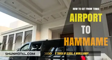 Tunis Airport to Hammamet: Easy Transport Options & Travel Tips