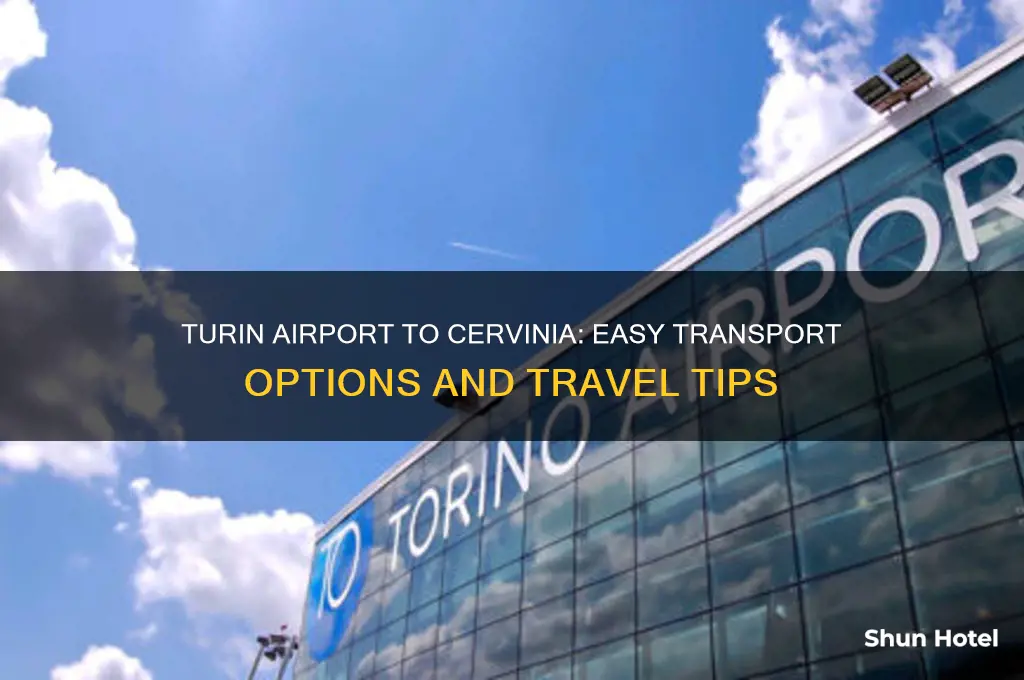 how to get from turin airport to cervinia