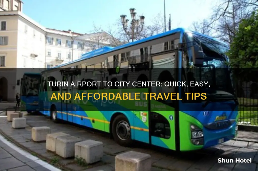 how to get from turin airport to city center
