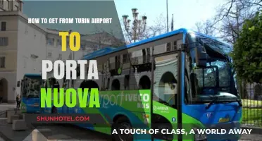 Turin Airport to Porta Nuova: Quick, Easy Transport Options