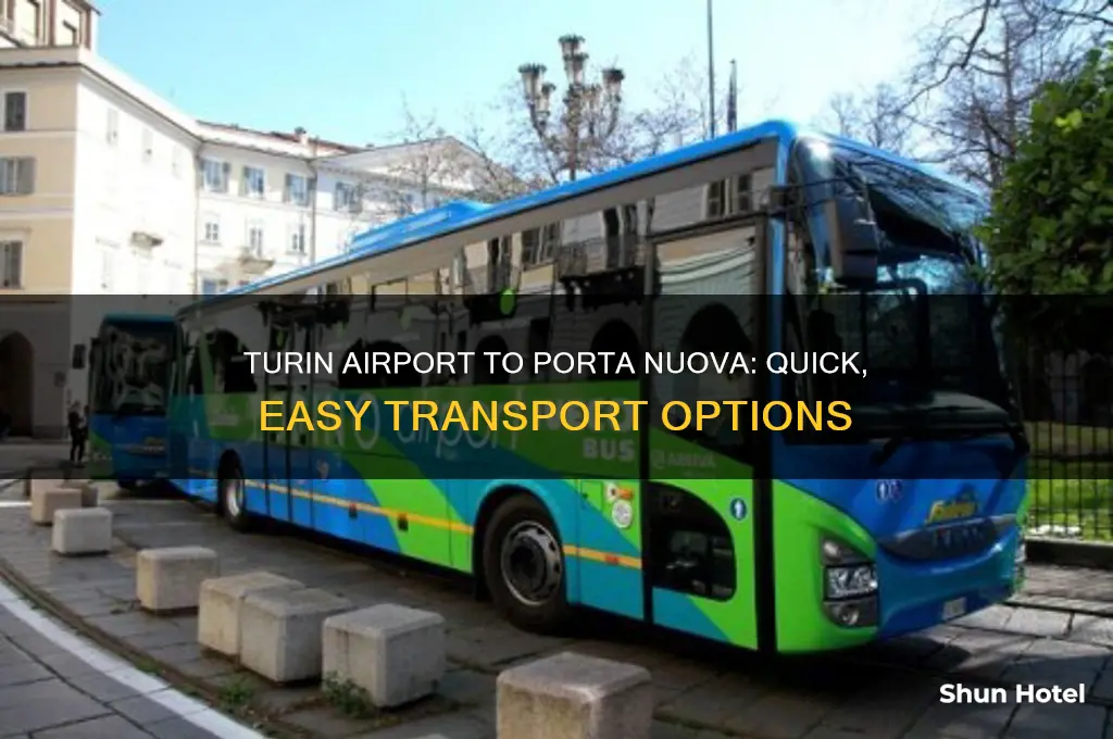how to get from turin airport to porta nuova
