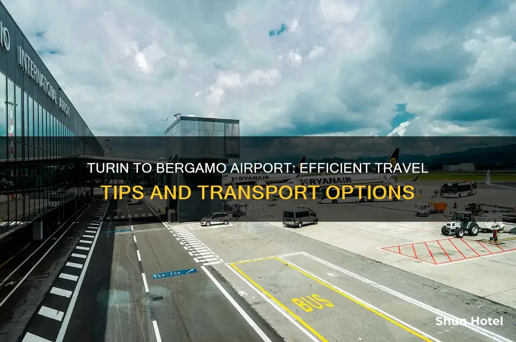 how to get from turin to bergamo airport