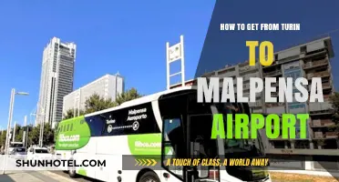 Turin to Malpensa Airport: Efficient Travel Tips and Transport Options