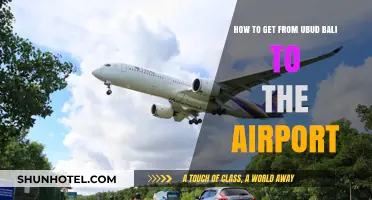Easiest Transport Options: Ubud to Bali Airport Travel Guide