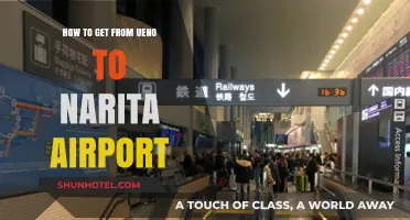 Ueno to Narita Airport: Quick, Easy, and Stress-Free Travel Guide