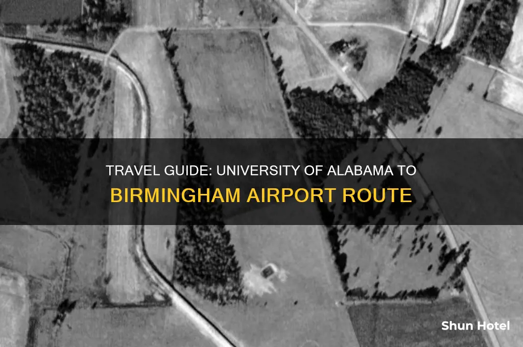 how to get from university of alabama to birmingham airport