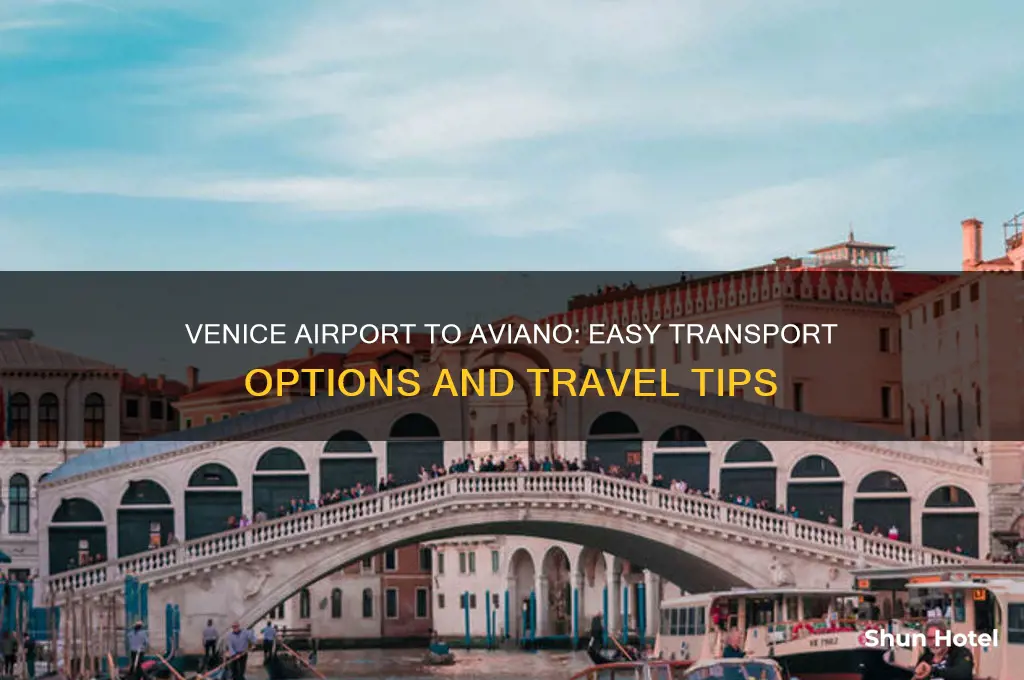 how to get from venice airport to aviano