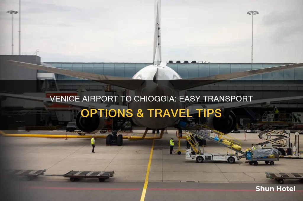 how to get from venice airport to chioggia