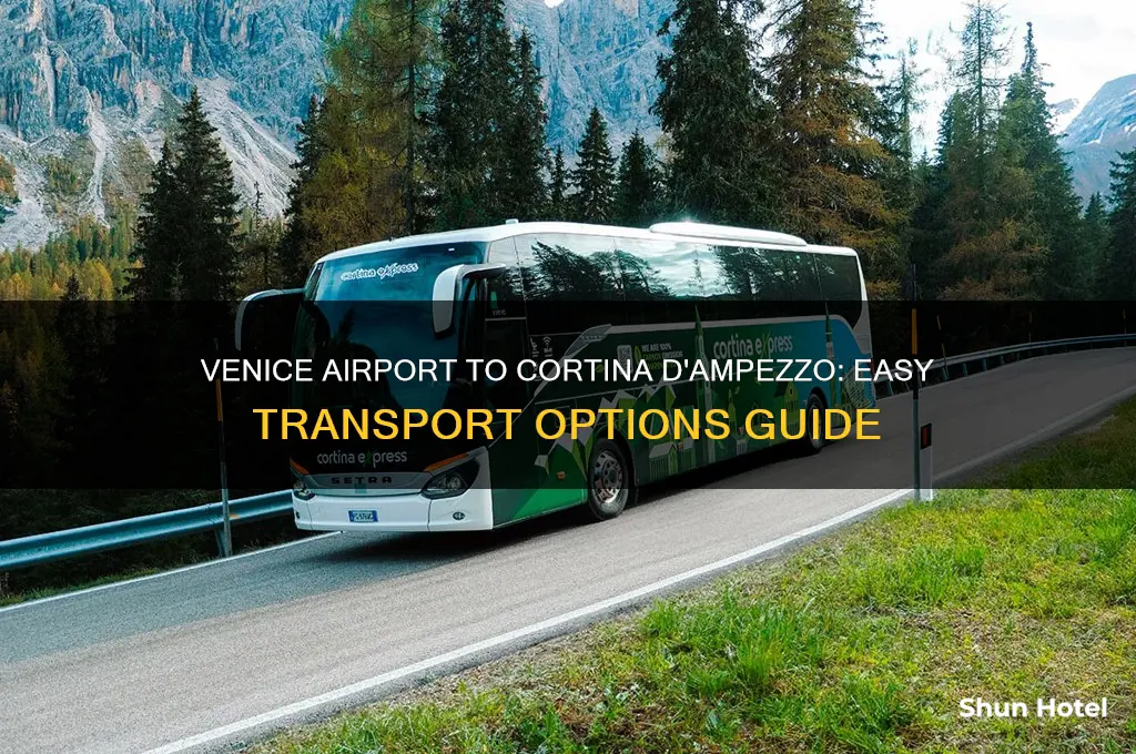 how to get from venice airport to cortina d ampezzo