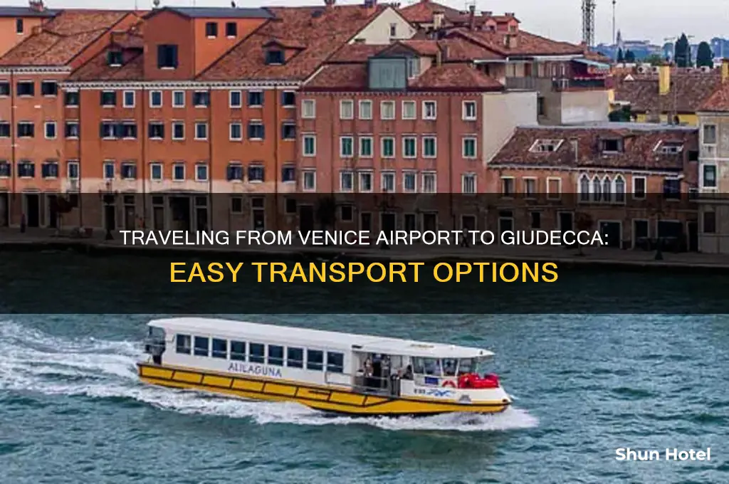 how to get from venice airport to giudecca