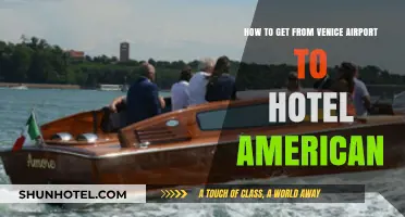 Easy Venice Airport to Hotel American Transfer Guide: Tips & Options