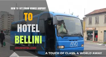 Venice Airport to Hotel Bellini: Easy Transport Options & Tips