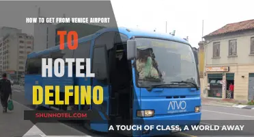 Venice Airport to Hotel Delfino: Easy Transport Options & Tips