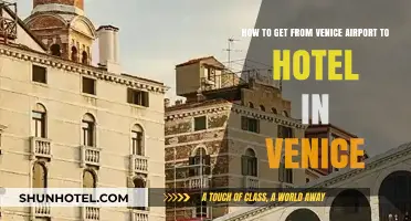 Venice Airport to Hotel: Easy Transport Options and Tips