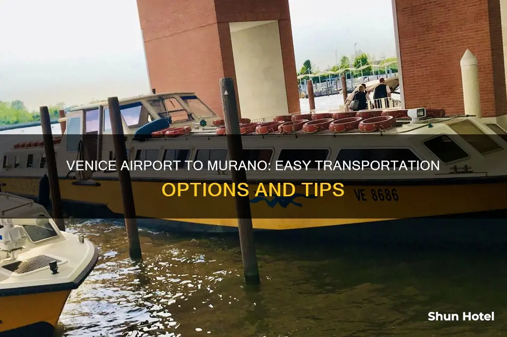 how to get from venice airport to murano