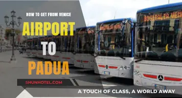 Venice Airport to Padua: Easy Transport Options and Travel Tips
