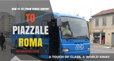 Venice Airport to Piazzale Roma: Quick, Easy Transport Guide