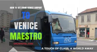 Venice Airport to Maestro: Quick, Easy Transport Options Guide