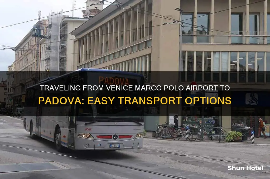 how to get from venice marco polo airport to padova